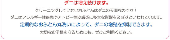 おふとん丸ごと水洗いサービス